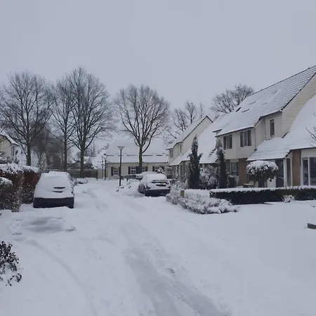 Blauwe Druif