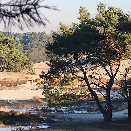 Blauwe Druif Hébergement de vacances *