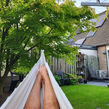 Blauwe Druif Hébergement de vacances Veghel