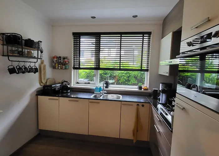 Blauwe Druif 別荘 *