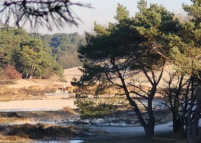 Blauwe Druif 別荘 *