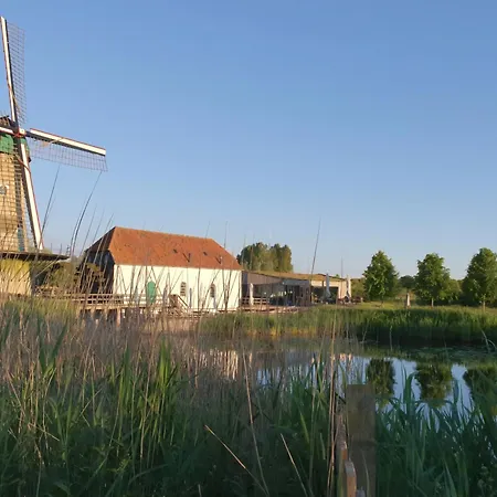 Dom wakacyjny Blauwe Druif *