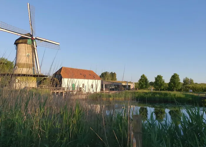 Dom wakacyjny Blauwe Druif *