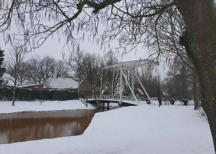 Blauwe Druif Dom wakacyjny Veghel